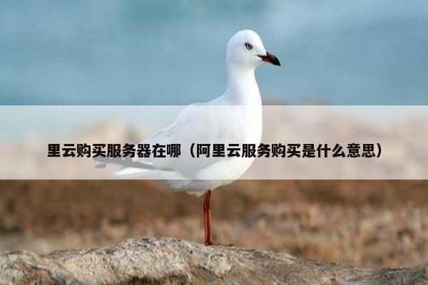 里云购买服务器在哪（阿里云服务购买是什么意思）