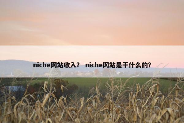 niche网站收入？ niche网站是干什么的？