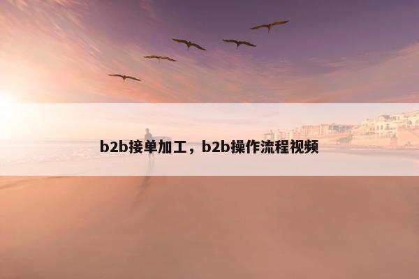 b2b接单加工，b2b操作流程视频