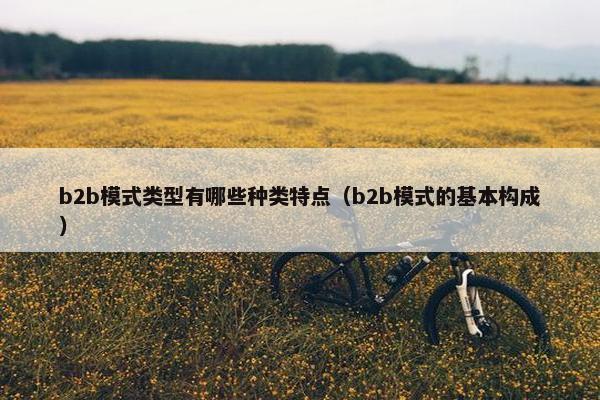 b2b模式类型有哪些种类特点（b2b模式的基本构成）