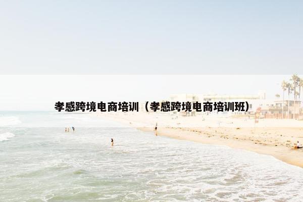 孝感跨境电商培训（孝感跨境电商培训班）