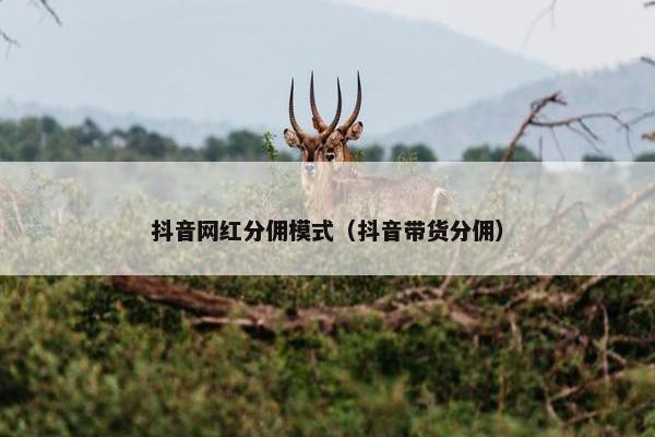 抖音网红分佣模式（抖音带货分佣）
