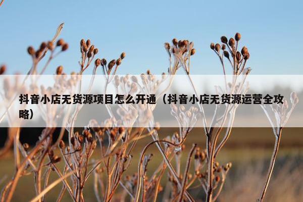 抖音小店无货源项目怎么开通（抖音小店无货源运营全攻略）