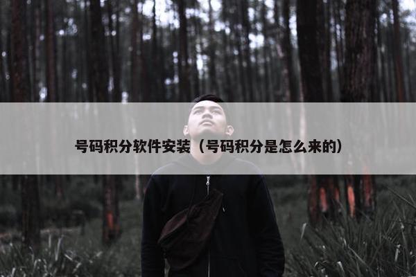 号码积分软件安装（号码积分是怎么来的）