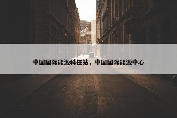 中国国际能源科任站，中国国际能源中心