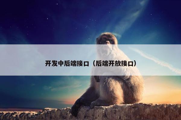 开发中后端接口（后端开放接口）