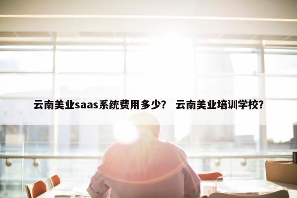 云南美业saas系统费用多少？ 云南美业培训学校？