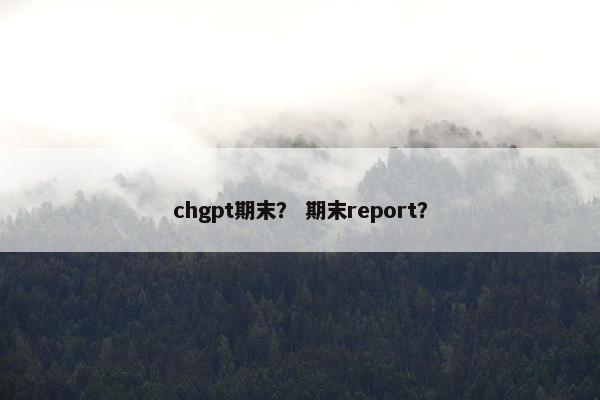 chgpt期末？ 期末report？