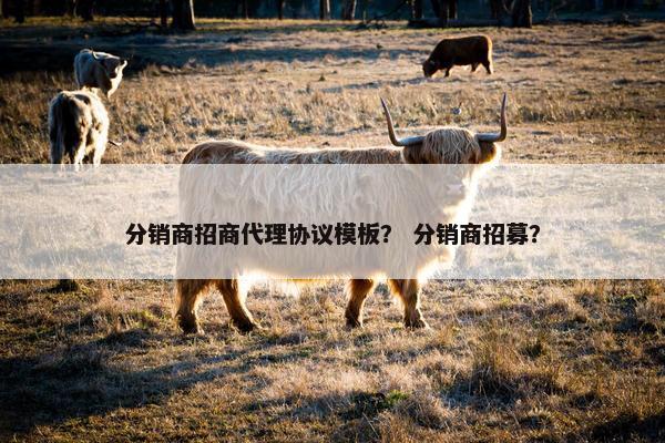 分销商招商代理协议模板？ 分销商招募？