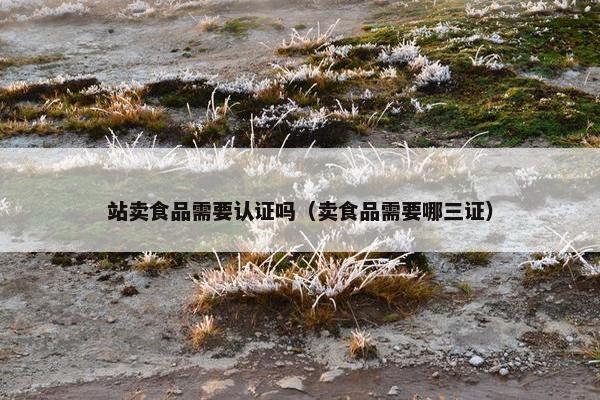 站卖食品需要认证吗（卖食品需要哪三证）