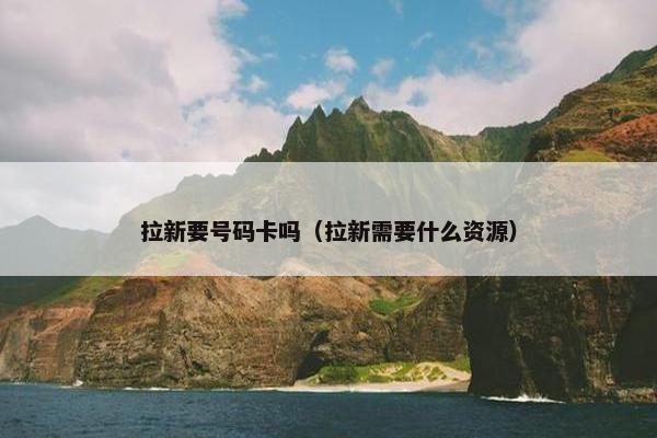 拉新要号码卡吗（拉新需要什么资源）