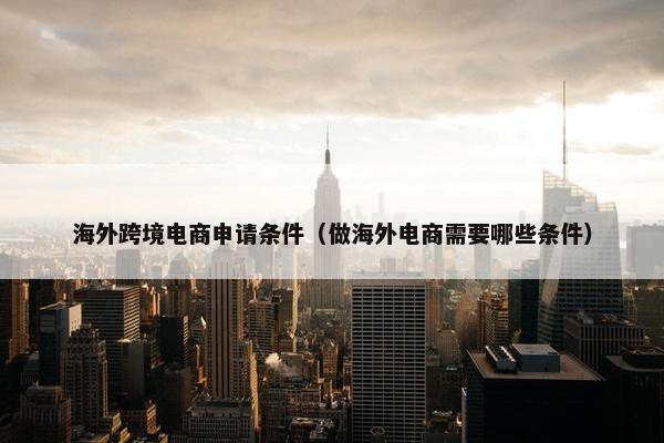 海外跨境电商申请条件（做海外电商需要哪些条件）