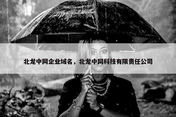 北龙中网企业域名，北龙中网科技有限责任公司