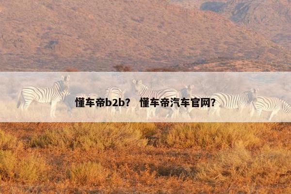 懂车帝b2b？ 懂车帝汽车官网？