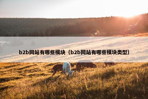 b2b网站有哪些模块（b2b网站有哪些模块类型）