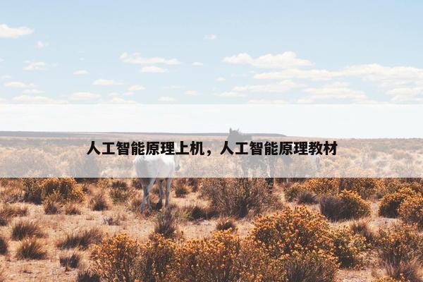 人工智能原理上机，人工智能原理教材