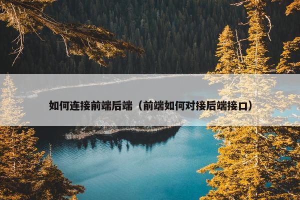 如何连接前端后端（前端如何对接后端接口）