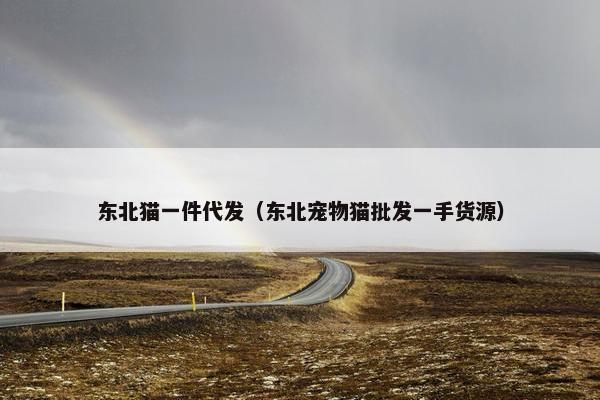 东北猫一件代发（东北宠物猫批发一手货源）
