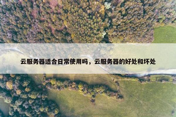 云服务器适合日常使用吗，云服务器的好处和坏处