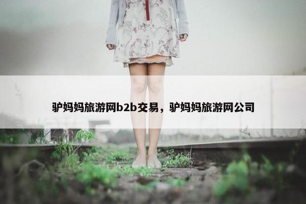 驴妈妈旅游网b2b交易，驴妈妈旅游网公司