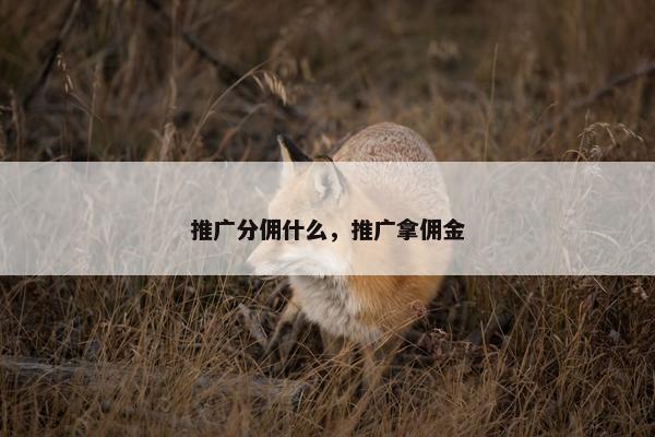推广分佣什么，推广拿佣金