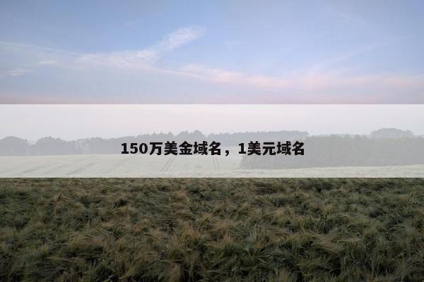 150万美金域名，1美元域名