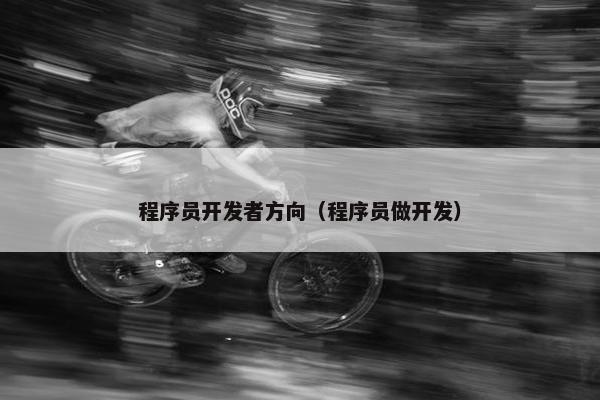 程序员开发者方向（程序员做开发）