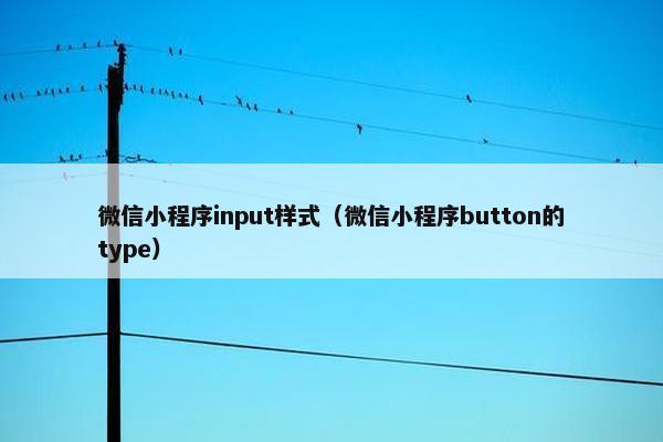 微信小程序input样式（微信小程序button的type）