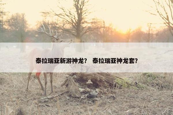 泰拉瑞亚新游神龙？ 泰拉瑞亚神龙套？