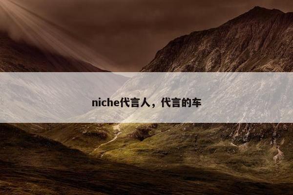 niche代言人，代言的车