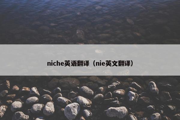 niche英语翻译（nie英文翻译）
