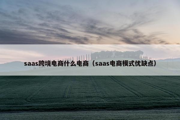 saas跨境电商什么电商（saas电商模式优缺点）