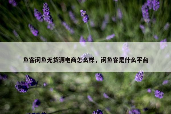 鱼客闲鱼无货源电商怎么样，闲鱼客是什么平台