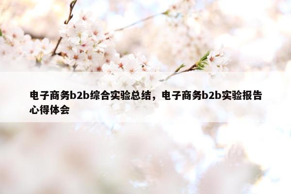 电子商务b2b综合实验总结，电子商务b2b实验报告心得体会