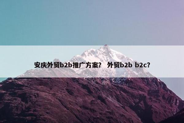 安庆外贸b2b推广方案？ 外贸b2b b2c？