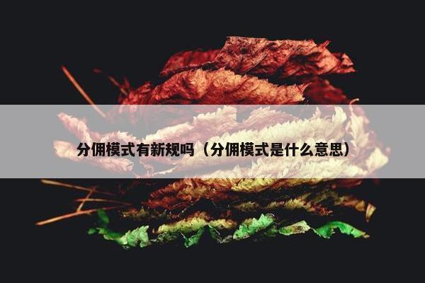 分佣模式有新规吗（分佣模式是什么意思）