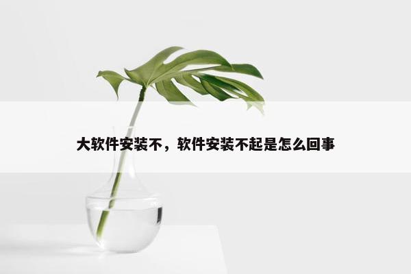 大软件安装不，软件安装不起是怎么回事