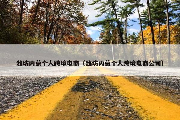 潍坊内蒙个人跨境电商（潍坊内蒙个人跨境电商公司）