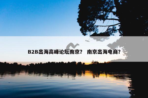 B2B出海高峰论坛南京？ 南京出海电商？