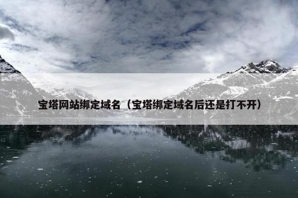 宝塔网站绑定域名（宝塔绑定域名后还是打不开）