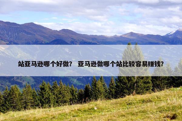 站亚马逊哪个好做？ 亚马逊做哪个站比较容易赚钱？