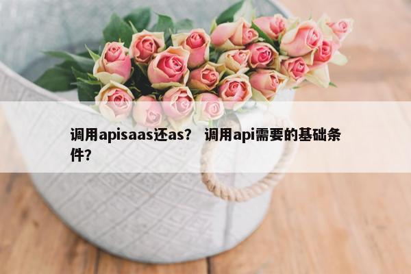 调用apisaas还as？ 调用api需要的基础条件？