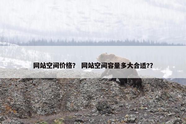 网站空间价格？ 网站空间容量多大合适?？