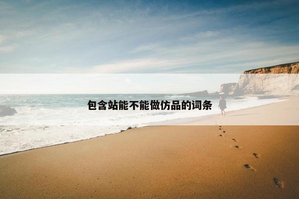 包含站能不能做仿品的词条