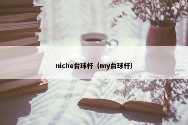 niche台球杆（my台球杆）