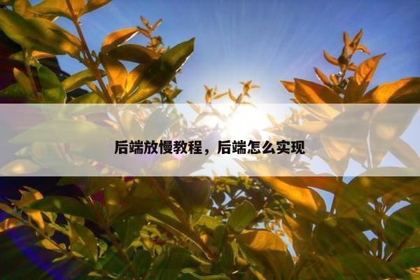 后端放慢教程，后端怎么实现