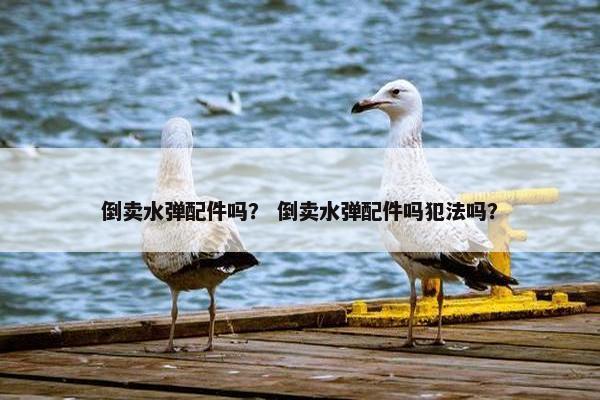 倒卖水弹配件吗？ 倒卖水弹配件吗犯法吗？