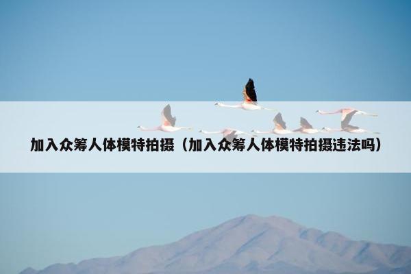 加入众筹人体模特拍摄（加入众筹人体模特拍摄违法吗）