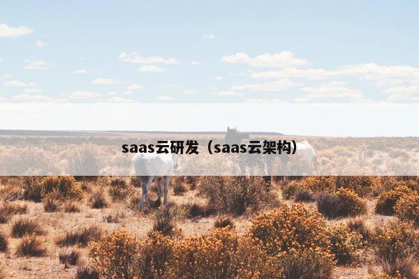 saas云研发（saas云架构）