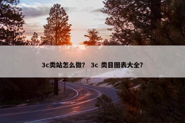 3c类站怎么做？ 3c 类目图表大全？